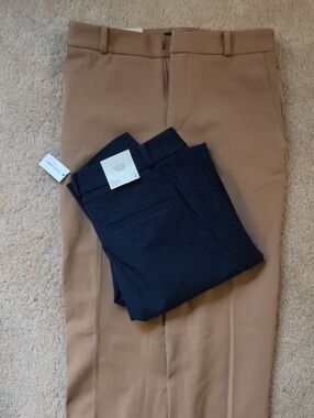 Banana Republic Straight Leg Pants in Camel and Navy